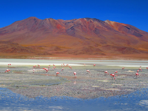 voyage sportif et aventure bolivie