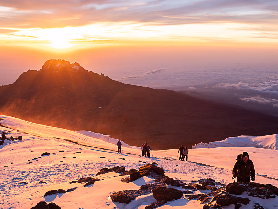 kilimandjaro voie lemosho ascension