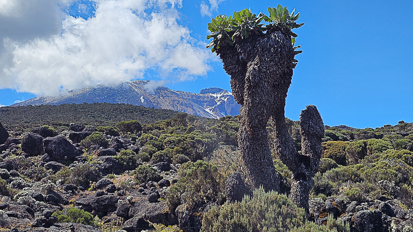 trekking torres del paine patagonie