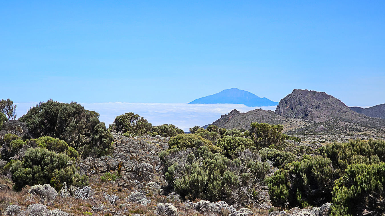 trek torres del paine circuit w