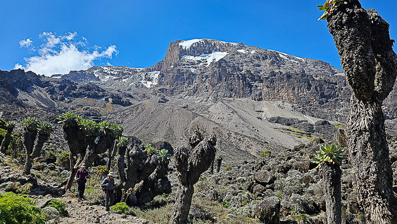 trekking torres del paine voyage circuit w